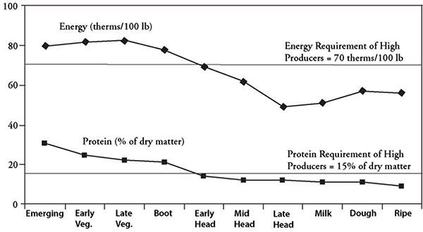 Fig. 8: Line graph showing energy and protein content of wheat harvested at different growth stages