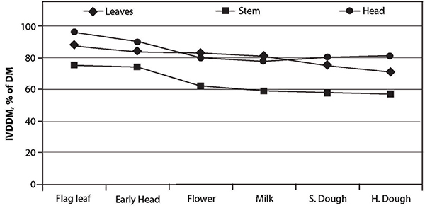 Fig. 9: Line graph showing in vitro digestible dry matter (IVDDM) of small grain plant parts at various maturities.