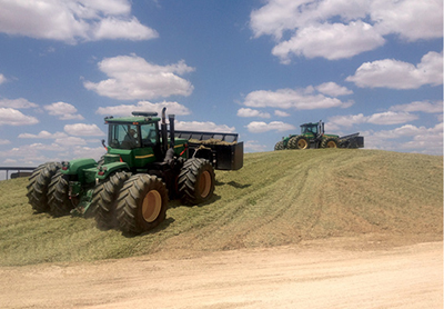 Fig. 11: Photograph showing tractor leveling and packing chopped triticale prior to ensiling. 