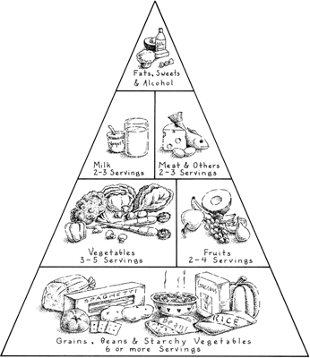 Fig. Diabetes Food Guide Pyramid.