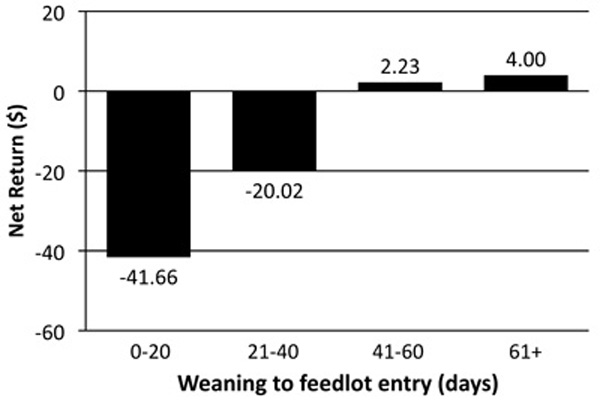 Fig. 1: Bar graph showing impact of time from weaning to feedlot entry on net return of steers in the New Mexico Ranch to Rail program from 2001–2004. 
