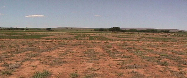A vast, arid landscape with sparse vegetation and distant hills under a clear blue sky.