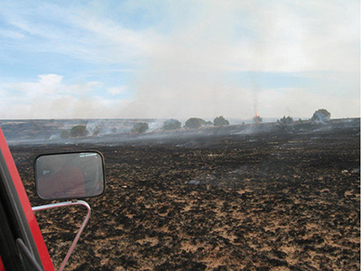 Fig. 01: Photograph of a herbaceous burn on short grassland.