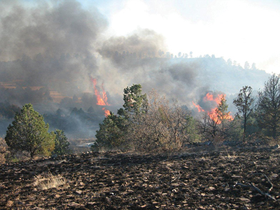 Fig. 06: Photograph of a fire on piñon-juniper and oakbrush woodland.