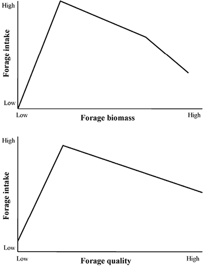 Fig. 02: Line graph showing simplified relationships between forage intake and forage quality and standing biomass. Forage intake peaks under low forage biomass and forage quality,  and declines as forage biomass and forage quality increase.