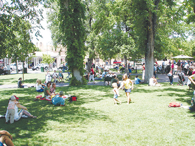 Fig. 2: Photograph of a public park area with turf and trees