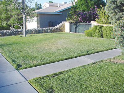 Fig. 7: Photograph of lawn area with drought-stressed center due to lack of uniform irrigation coverage.