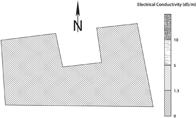 Fig. 1: Map of soluble salts (0-12 inches) in the Luna County vineyard.