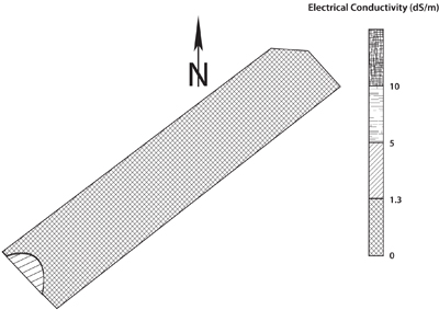 Fig. 2: Map of soluble salts (0-12 inches) in the Doa Ana County vineyard.