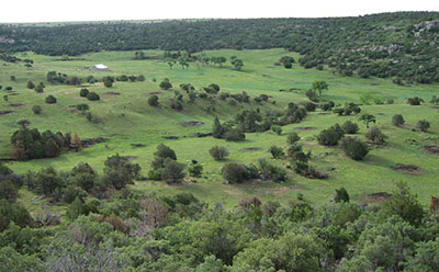 Figure 01: Photograph of piñon-juniper woodlands with open grasslands.
