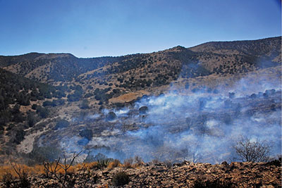 Figure 02: Photograph of a controlled burn in piñon-juniper woodland.