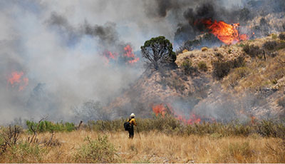 Figure 07: Photograph of a controlled burn in piñon-juniper woodland.
