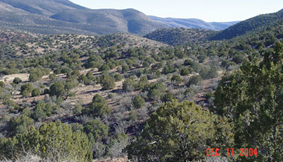 Figure 08: Photograph of piñon-juniper woodland.