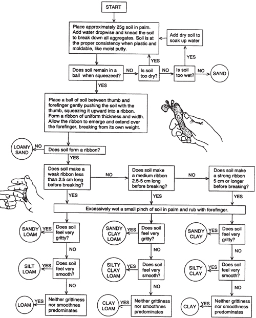 Fig. 2-2: Procedure and key for estimating soil texture by feel.