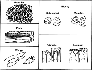 Fig. 2-3: Soil structure.