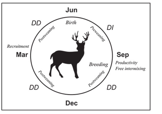 Figure 01: Diagram showing the biological year of most big game species in the western United States.
