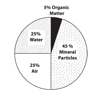 Pie chart showing general composition of soil constituents 