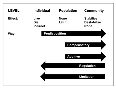 Fig. 02: Figure showing the hierarchy of predation. The top line shows individual, population, and community levels; below “individual” is “live,” “die,” and “indirect”; below “population” is “none” and “limit”; and below “community” is “stabilize,” “destabilize,” and “none.” At bottom are right-pointing arrows for “predisposition,” “compensatory,” and “additive,” and left-pointing arrows for “regulation” and “limitation.”