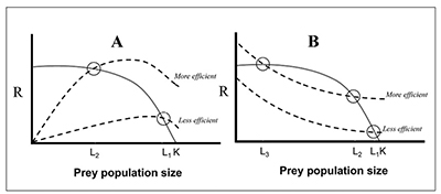 Fig. 06: Line graphs showing simplistic Lokta-Volterra type predator-prey models. Full description is in Figure 6 caption.