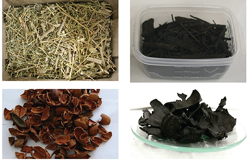 Photograph showing biomass and biochar from big saltbush and pecan (Carya illinoinensis) shells.