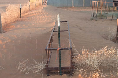 Figure 7: Photograph of sand dunes around a fence.