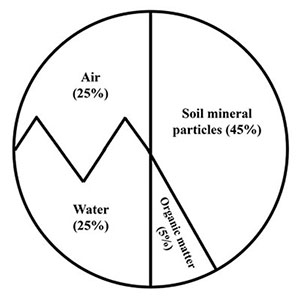 Figure 1: Diagram showing components of soil.