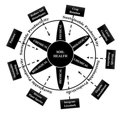 Figure 10: Diagram from figure 3, along with the various soil health management practices.