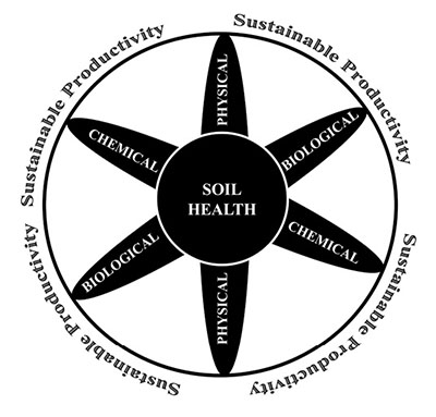 Figure 3: Diagram depicting soil health as a wheel with soil health at the center and physical, chemical, and biological aspects as spokes.