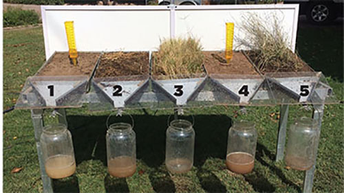 Figure 4: Photograph of five pans filled with soil and with bottles in front of each pan to collect runoff.