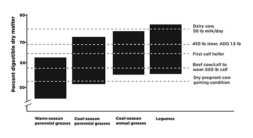 Figure 01: Graph showing relative digestibility of forage crop types and requirements of different cattle classes. Warm-season perennial grasses contain the least digestible dry matter, followed by cool-season perennial grasses, cool-season annual grasses, and finally legumes.