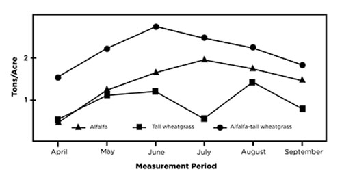 Figure 03: Line graph showing seasonal yield distribution (35 days regrowth) of alfalfa and tall wheatgrass pastures at the New Mexico State University Agricultural Science Center at Tucumcari, 1999–2001. Alfalfa-tall wheatgrass mixtures produced more forage than monocultures.