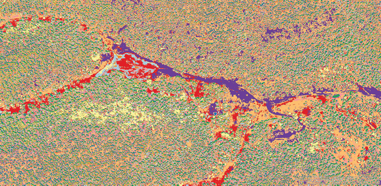 The image displays an orthomosaic map created from a drone flight using ArcGIS Pro software. The orthomosaic is a detailed, large-scale composite image made by stitching together multiple aerial photographs. The orthomosaic is presented in a combination of green, red, and blue colors representing different features (vegetation, features, water bodies, respectively).