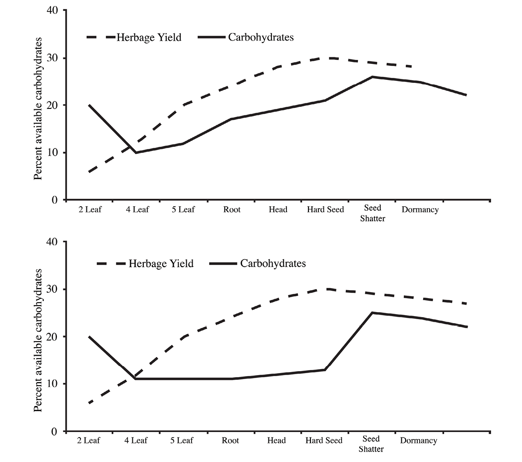 Two comparative graphs showing the carbohydrate cycles and growth curves. Top graph represents a typical range plant species and shows the Herbage Yield and Carbohydrates on the growth curves. Bottom graph represents a range plant that replenishes its reserves late in the growing season. 