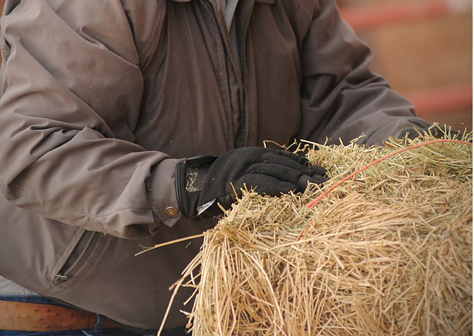 A photo of a man wearing working gloves and overalls, organizing bales of hay. The man's face is not visible; only his hands are shown as he handles the hay bales.