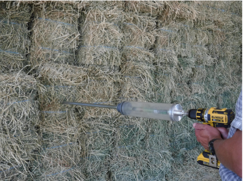 A person is holding a drill attached to a sampling probe, positioned to take samples from rectangular hay bales. The drill is shown in action, with the probe extending into one of the bales. The focus of the image is on the proper sampling technique, highlighting the correct location on the bale for effective sampling.