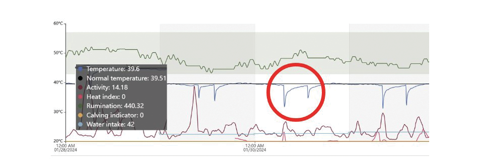 Example of SmaXtec dashboard, with a drop in reticular temperature caused by a drinking event that is circled in red. 