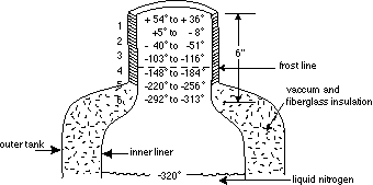 Figure 1. Diagram showing temperatures found in the neck of a semen tank.