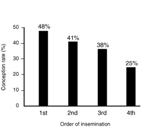 Chart that shows that conception rates of cows decrease with order of insemination (Lee et al., 1997).