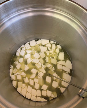 Fig. 01C: Photograph of cut curds floating in whey.