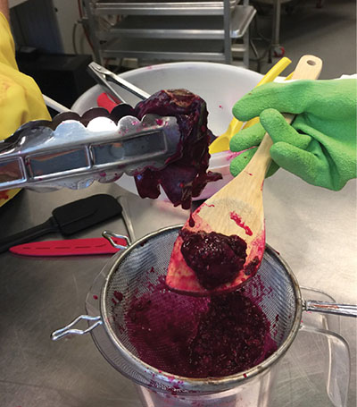 Foto de una persona sosteniendo una tuna con pinzas encima de un colador, extrayendo la pulpa. 