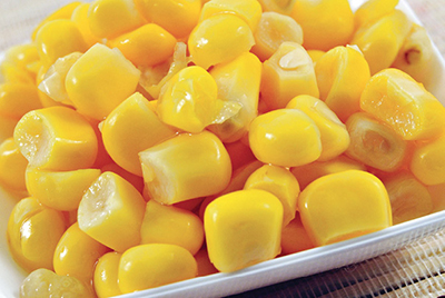 Photograph of corn kernels.