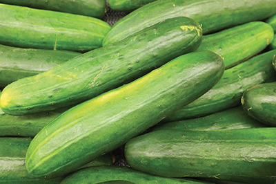 Photograph of cucumbers.