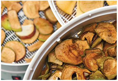 Photo of food dehydrator processing apple slices