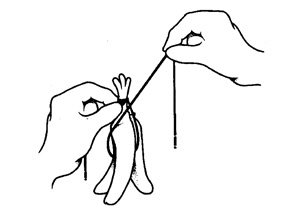 Illustration showing how to tie a second half-hitch or overhand knot to ensure a tight, secure ristra.