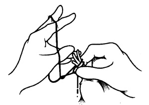 Illustration showing how to use a rubber band or piece of string to make bundles of 15–20 pods.