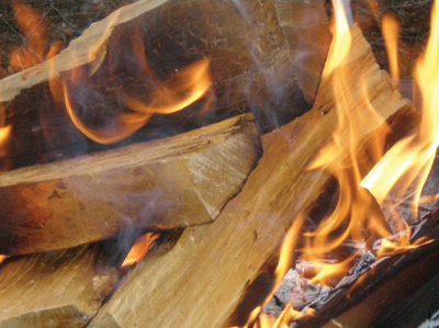Fig. 1: Wood can be burned for heat, cooking, or aesthetic enjoyment.