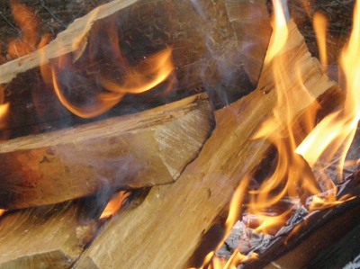 Firewood Species Burning Properties and Comparisons