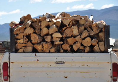 Fig. 2: A 'truckload' of firewood.
