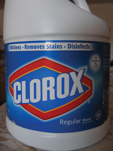 Fig 1. A bottle of commercially available liquid chlorine bleach.