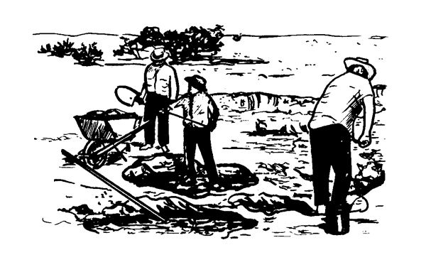 Figure 2. Illustration of workers digging pits and shoveling soil into a wheelbarrow on a level site. 